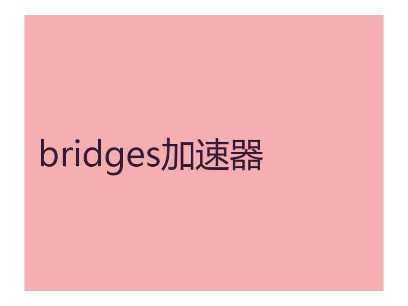 bridges加速器