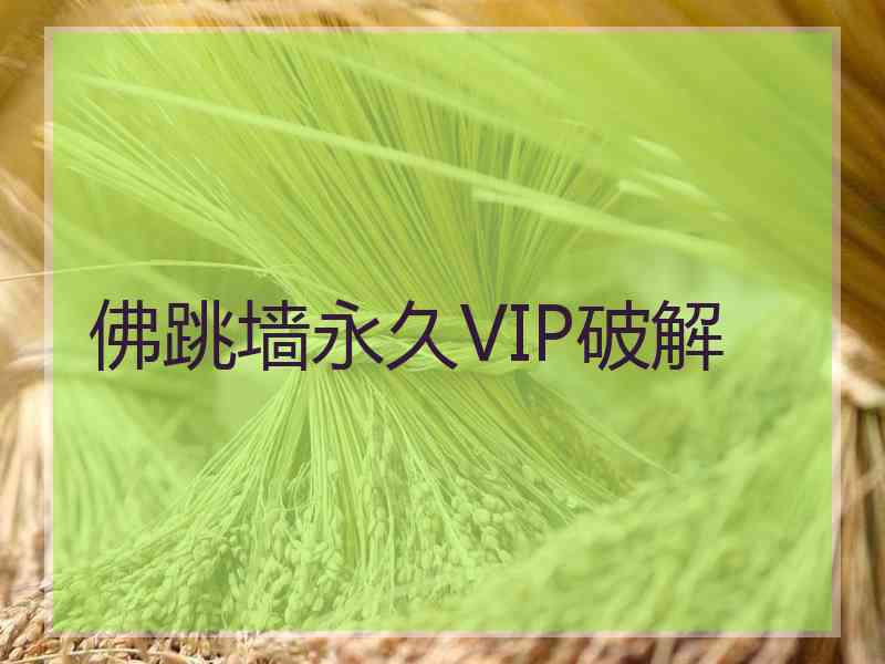 佛跳墙永久VIP破解