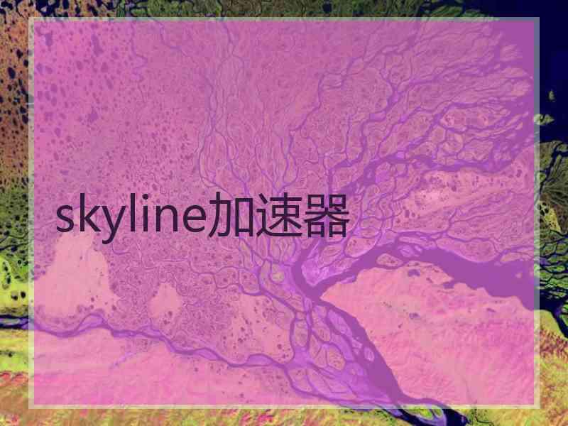 skyline加速器