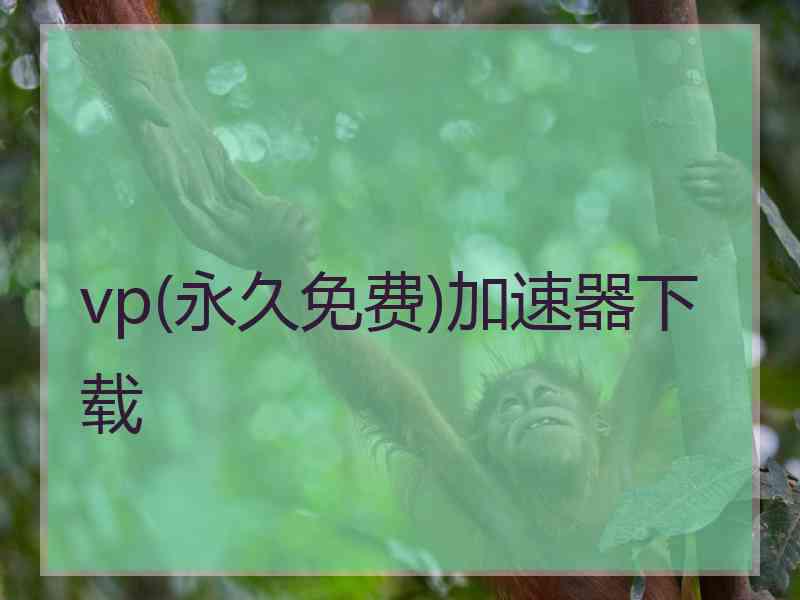 vp(永久免费)加速器下载