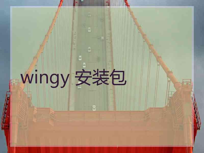 wingy 安装包