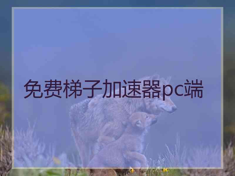 免费梯子加速器pc端