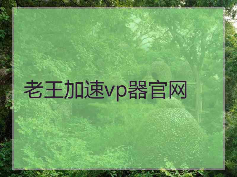 老王加速vp器官网