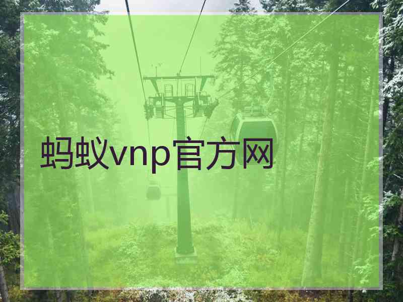 蚂蚁vnp官方网