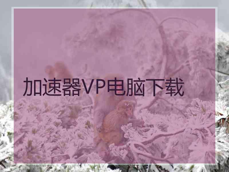 加速器VP电脑下载