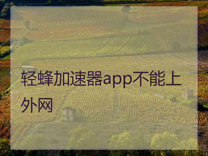 轻蜂加速器app不能上外网