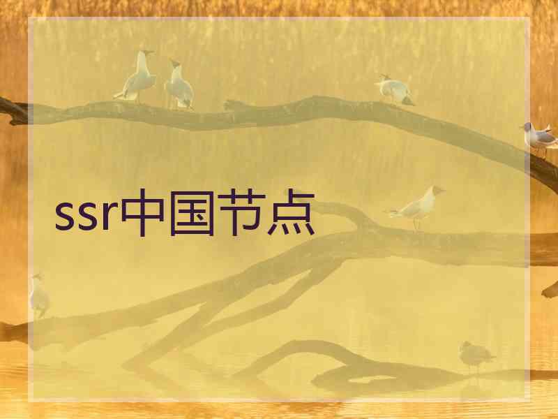 ssr中国节点