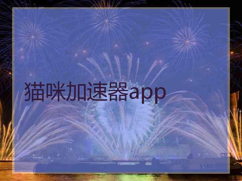 猫咪加速器app