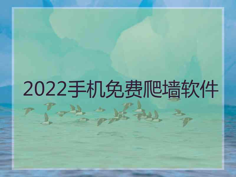 2022手机免费爬墙软件