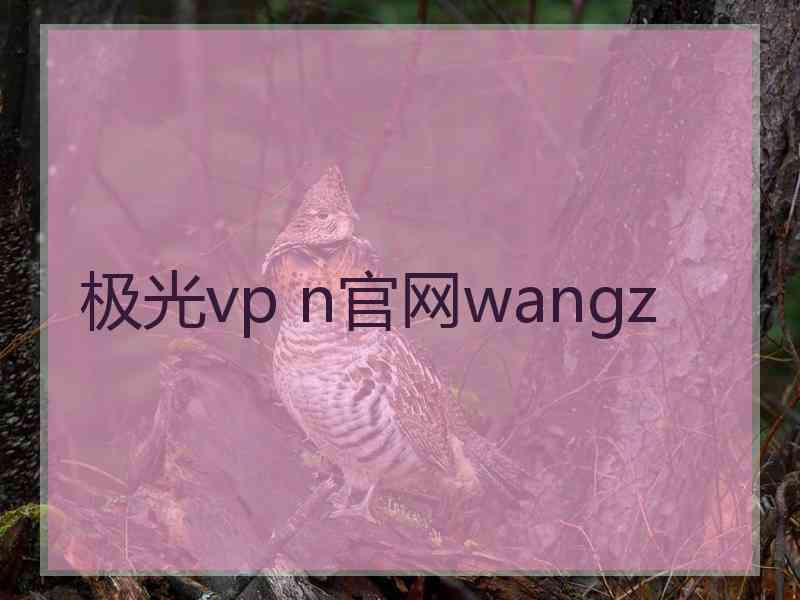 极光vp n官网wangz