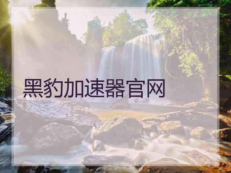 黑豹加速器官网