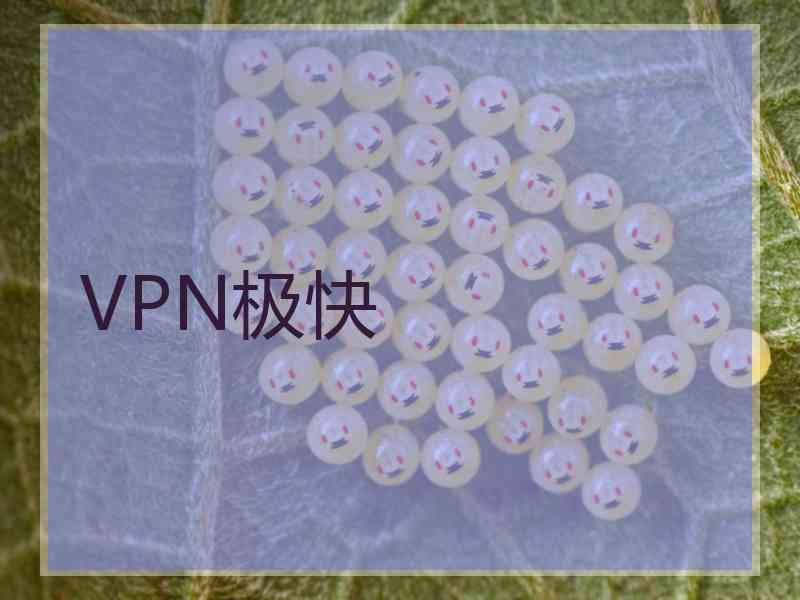 VPN极快