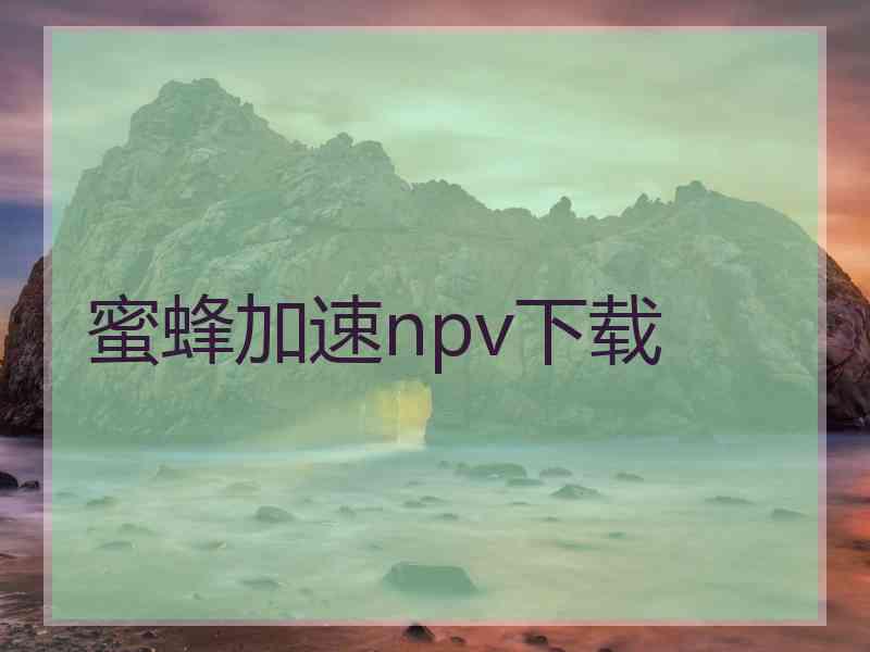 蜜蜂加速npv下载