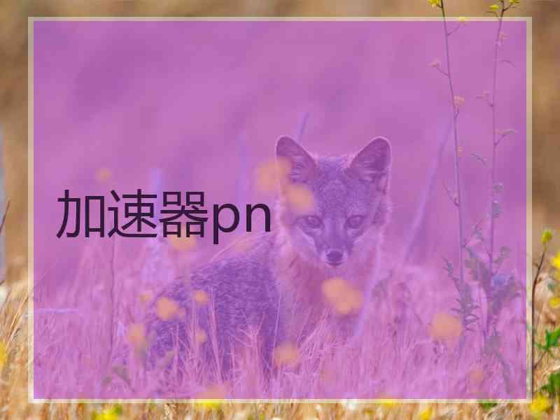 加速器pn