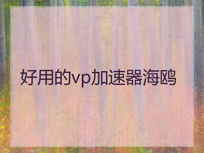 好用的vp加速器海鸥