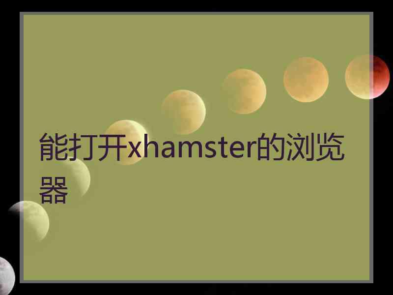 能打开xhamster的浏览器