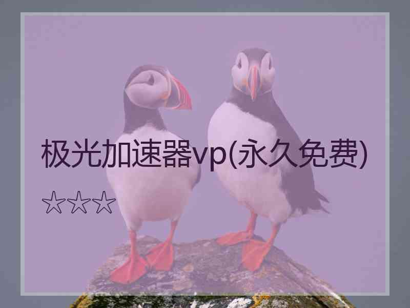 极光加速器vp(永久免费)☆☆☆