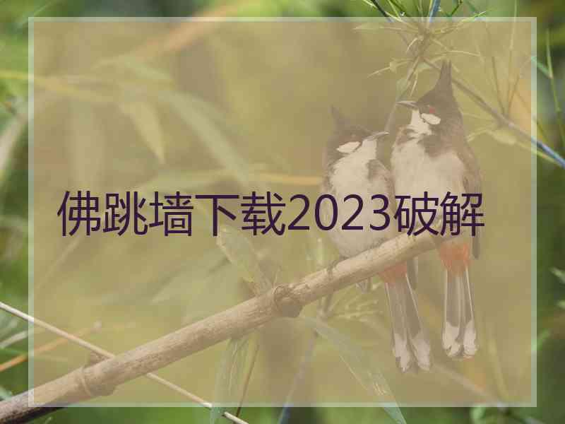 佛跳墙下载2023破解