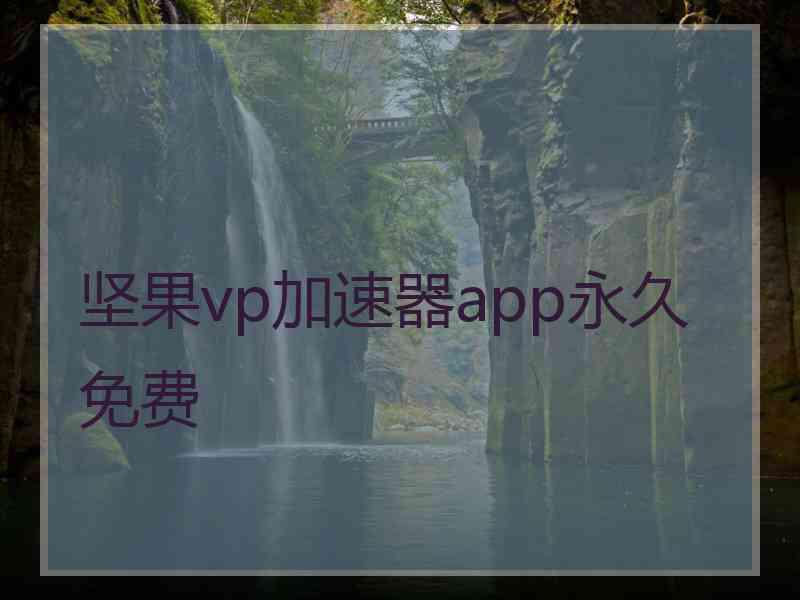 坚果vp加速器app永久免费