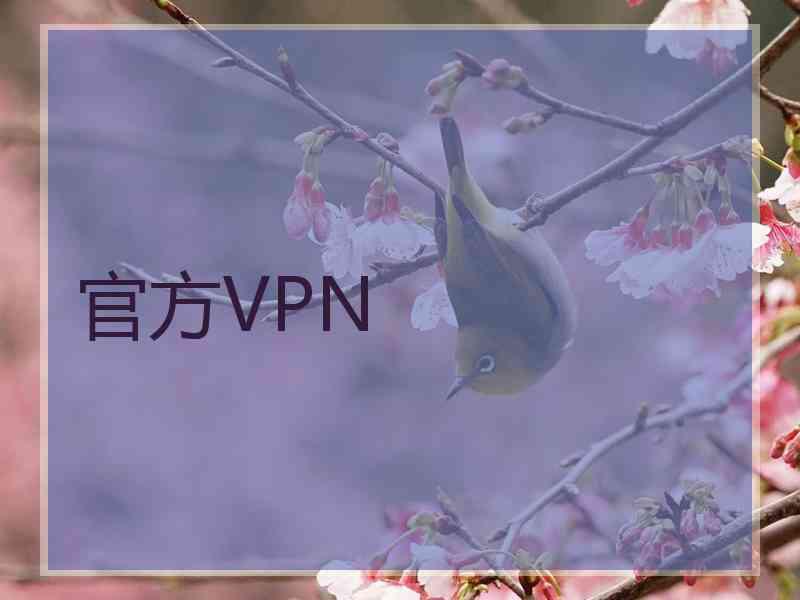 官方VPN