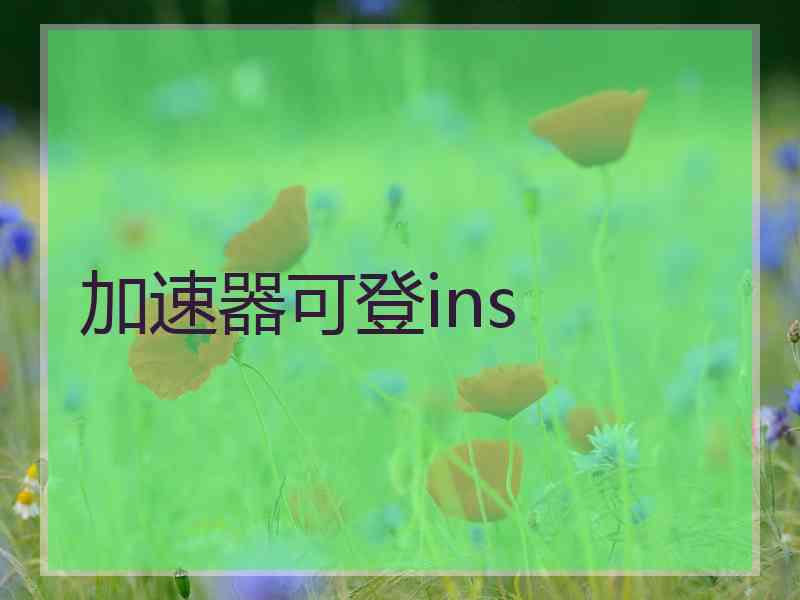 加速器可登ins