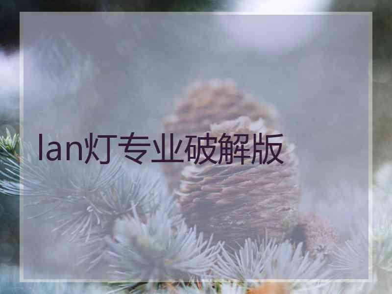 lan灯专业破解版