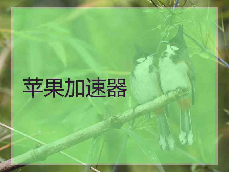 苹果加速器