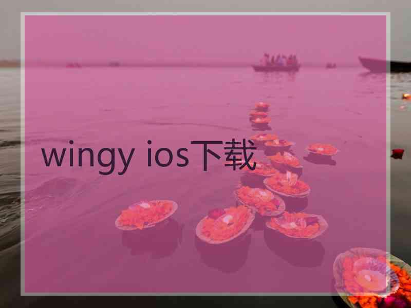 wingy ios下载