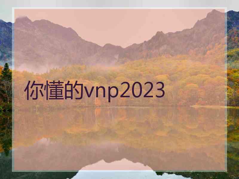 你懂的vnp2023