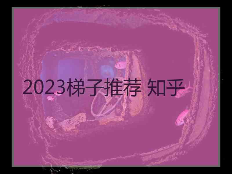 2023梯子推荐 知乎