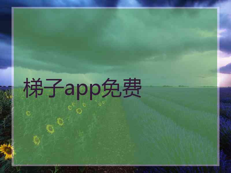 梯子app免费