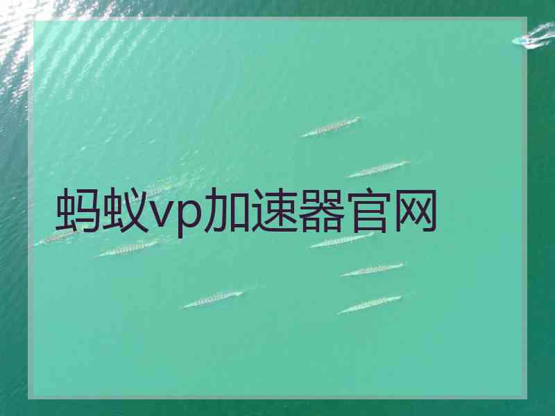 蚂蚁vp加速器官网