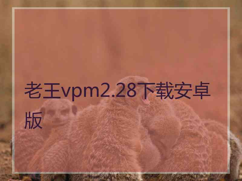 老王vpm2.28下载安卓版