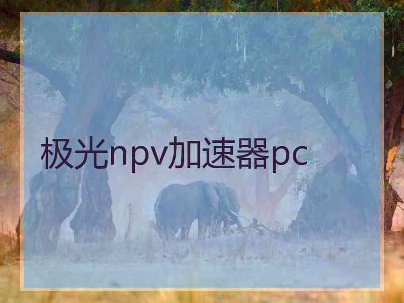 极光npv加速器pc