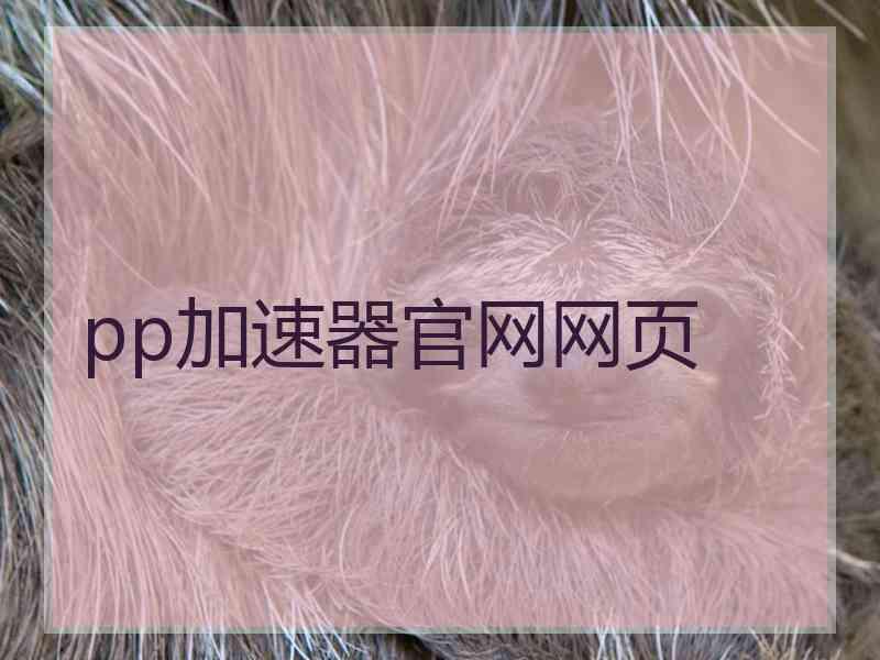 pp加速器官网网页