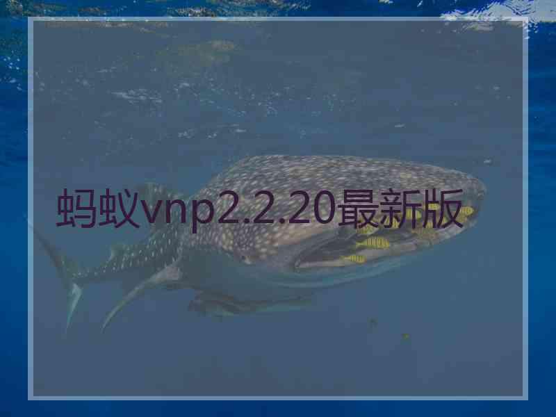 蚂蚁vnp2.2.20最新版