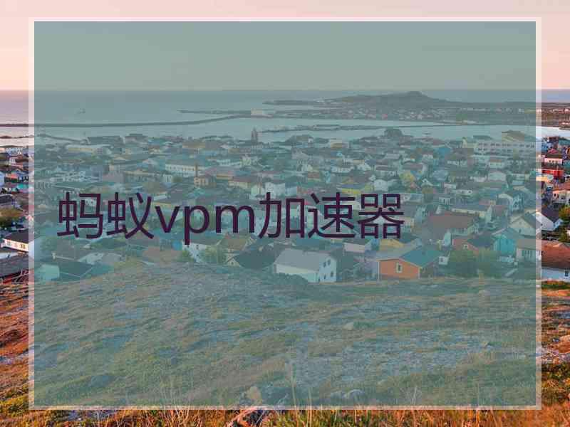 蚂蚁vpm加速器