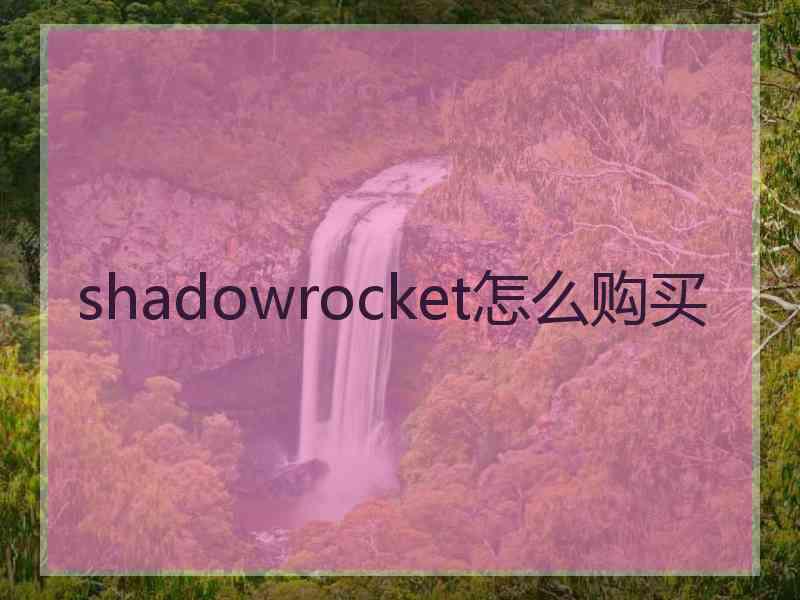 shadowrocket怎么购买