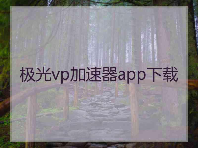 极光vp加速器app下载