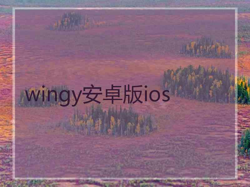 wingy安卓版ios