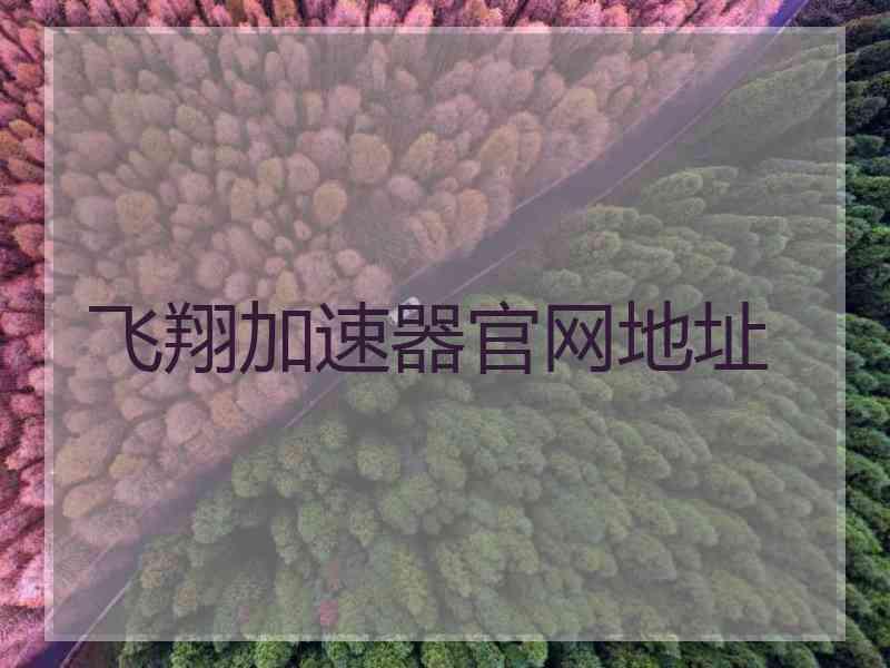 飞翔加速器官网地址