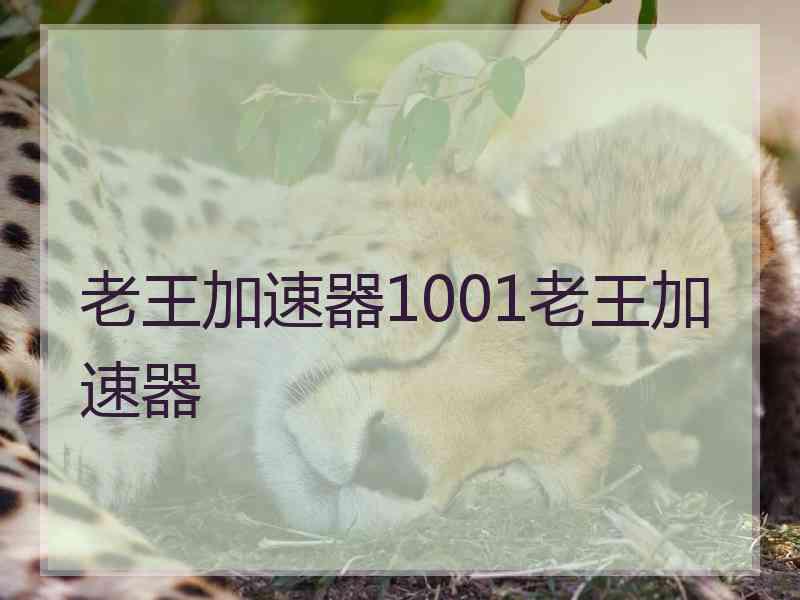 老王加速器1001老王加速器