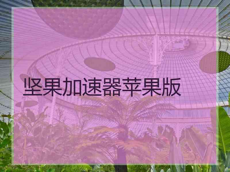 坚果加速器苹果版