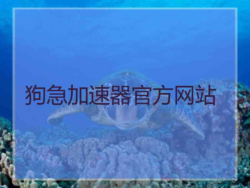 狗急加速器官方网站