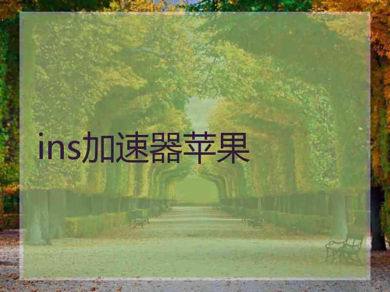 ins加速器苹果