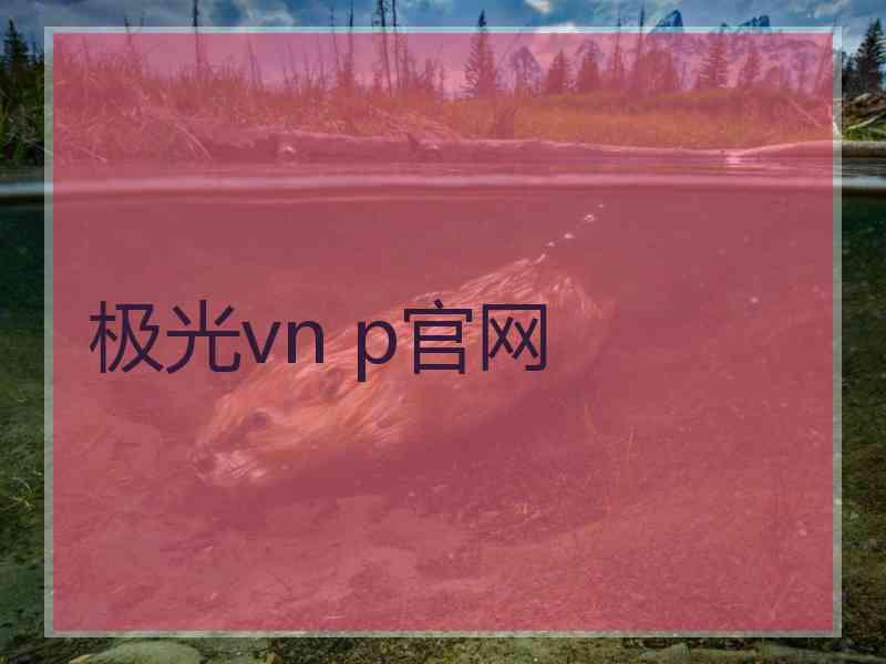 极光vn p官网