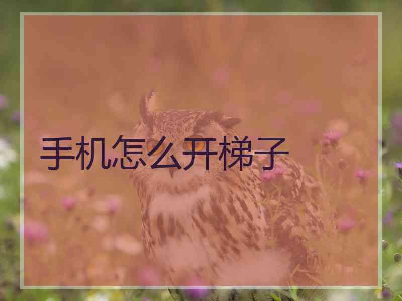 手机怎么开梯子