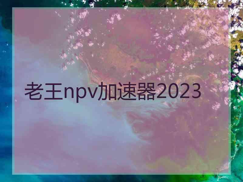 老王npv加速器2023