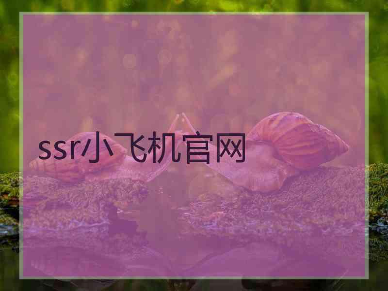 ssr小飞机官网