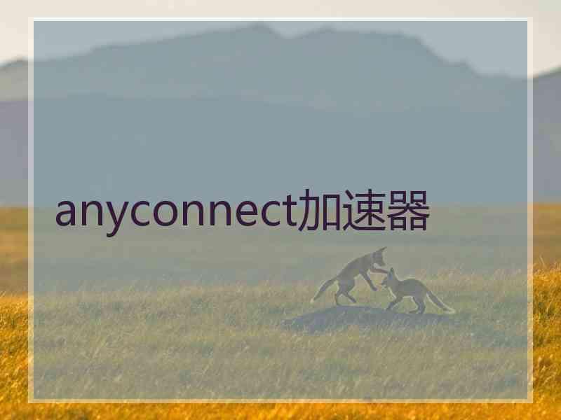 anyconnect加速器